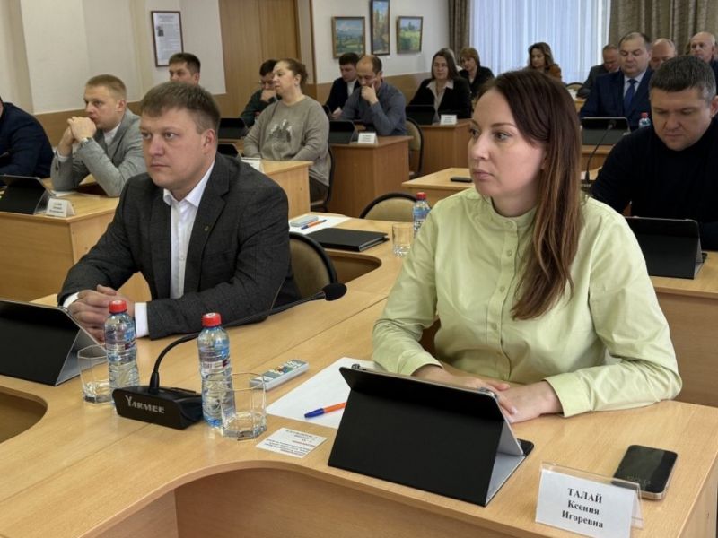 Во благо новым проектам: депутаты собрались на внеочередную сессию, чтобы назначить собрания жителей для участия в краевой программе «Поддержка местных инициатив»