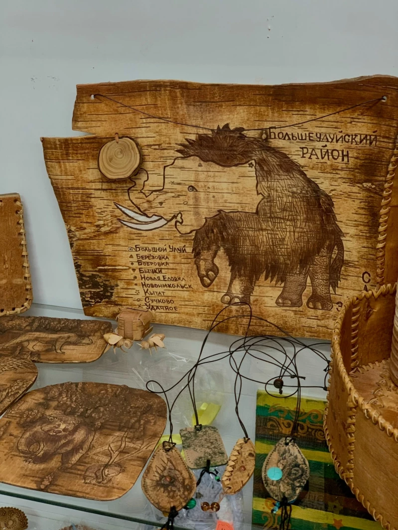 Депутаты Ачинского округа инициировали акцию накануне Дня книгодарения