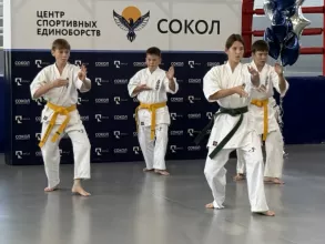 В Центре спортивных единоборств «Сокол» прошёл День открытых дверей, посвященный его двухлетию